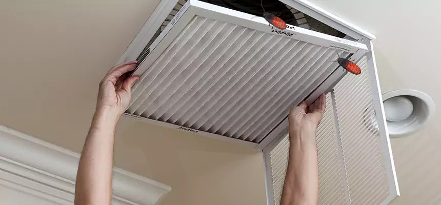 Preventive Cockroach-Proofing for Ducts in McAlester