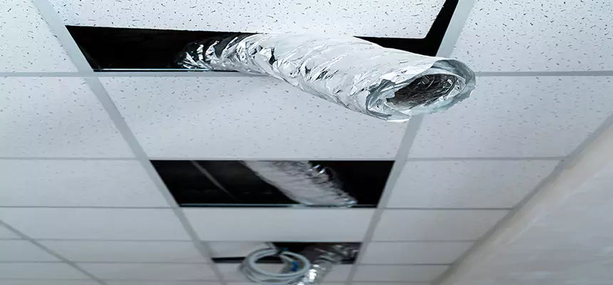 Affordable HVAC Sanitizing After Pest Removal in McAlester