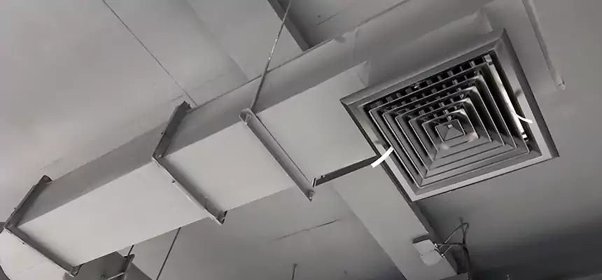 Our Pest Removal From Ducts Services in McAlester, OK