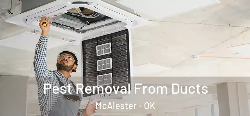  Pest Removal From Ducts McAlester - OK