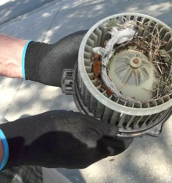 About Air Duct Mice Removal in McAlester, OK