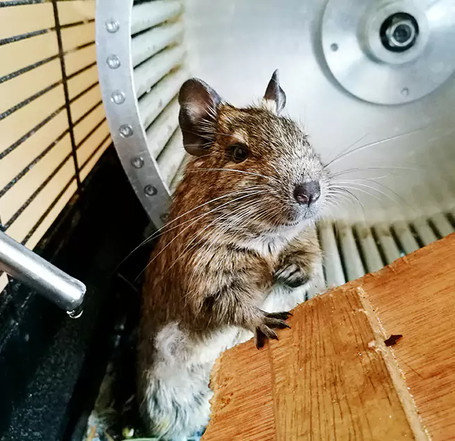 Why Homeowners & Businesses Trust Us McAlester, OK